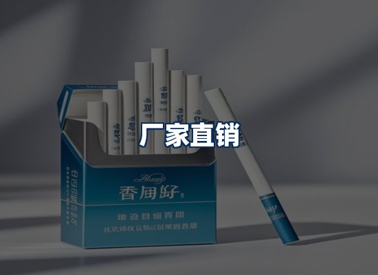 专业团队办公环境